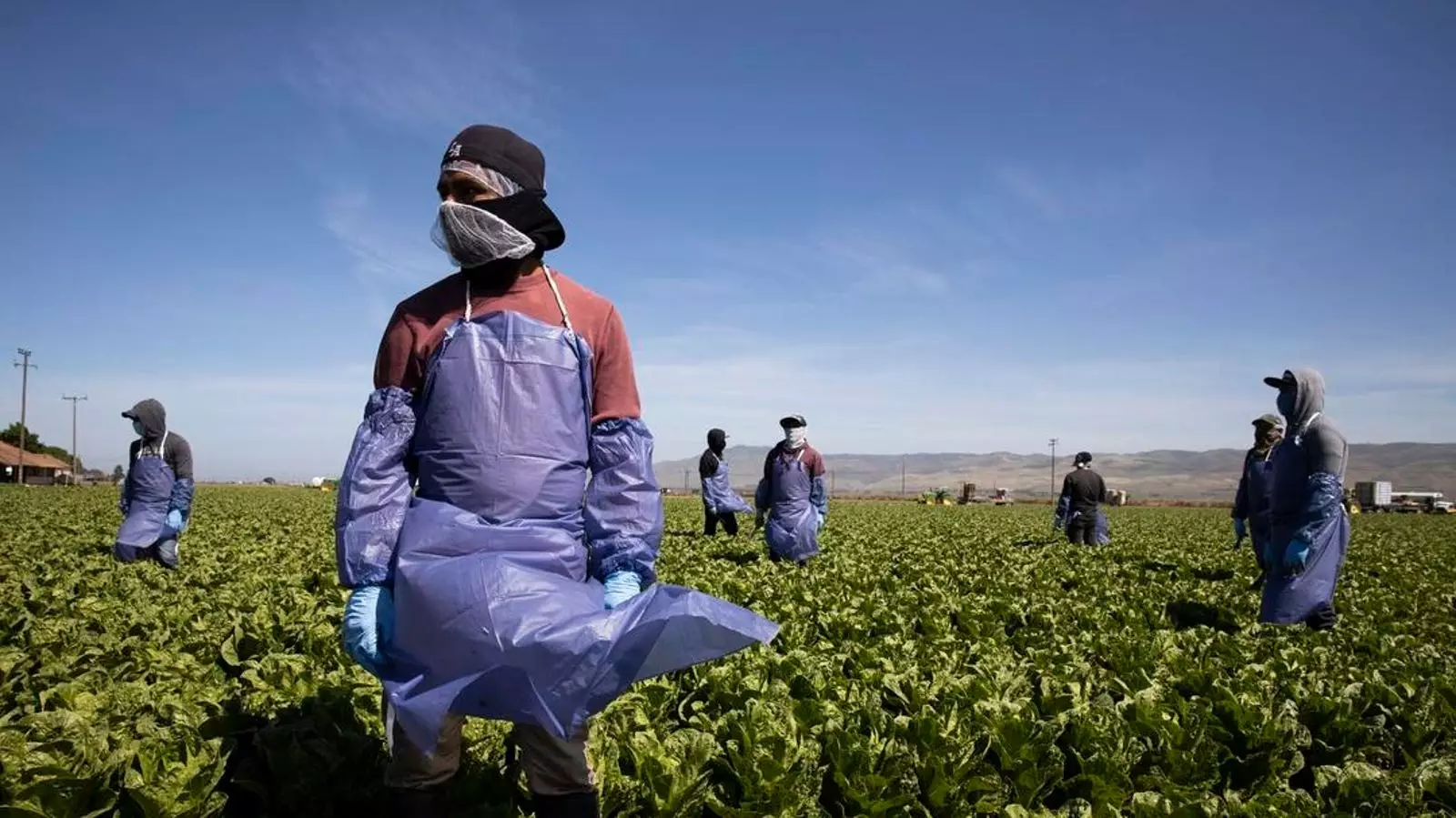 Controversy Erupts Over New H-2A Visa Regulations: A Tipping Point for Agricultural Labor Rights