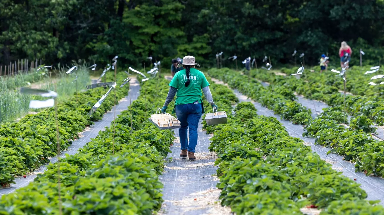 The Crises Within Our Food System and the Path Toward Equity