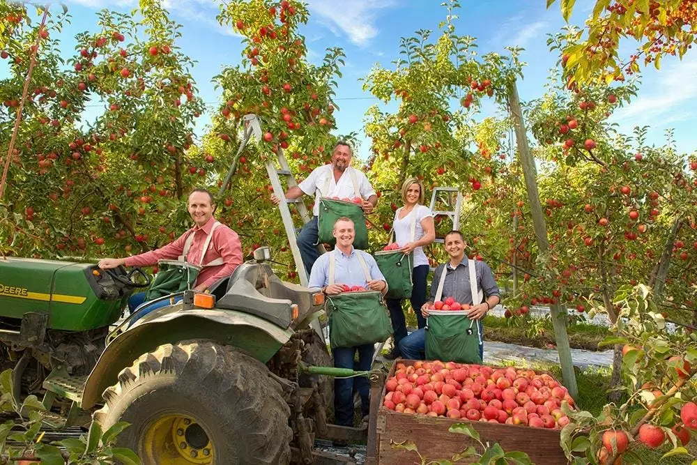 The Evolution of Stemilt Growers: A Legacy of Innovation in the Fruit Industry