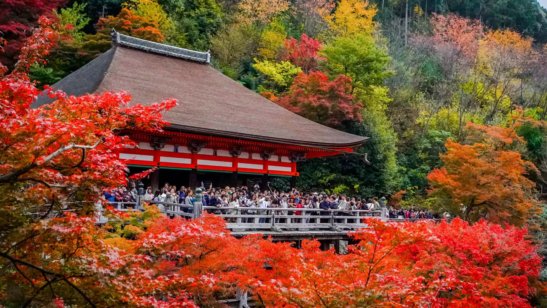 The Resurgence of Tourism in Japan: Navigating Growth and Challenges in 2024