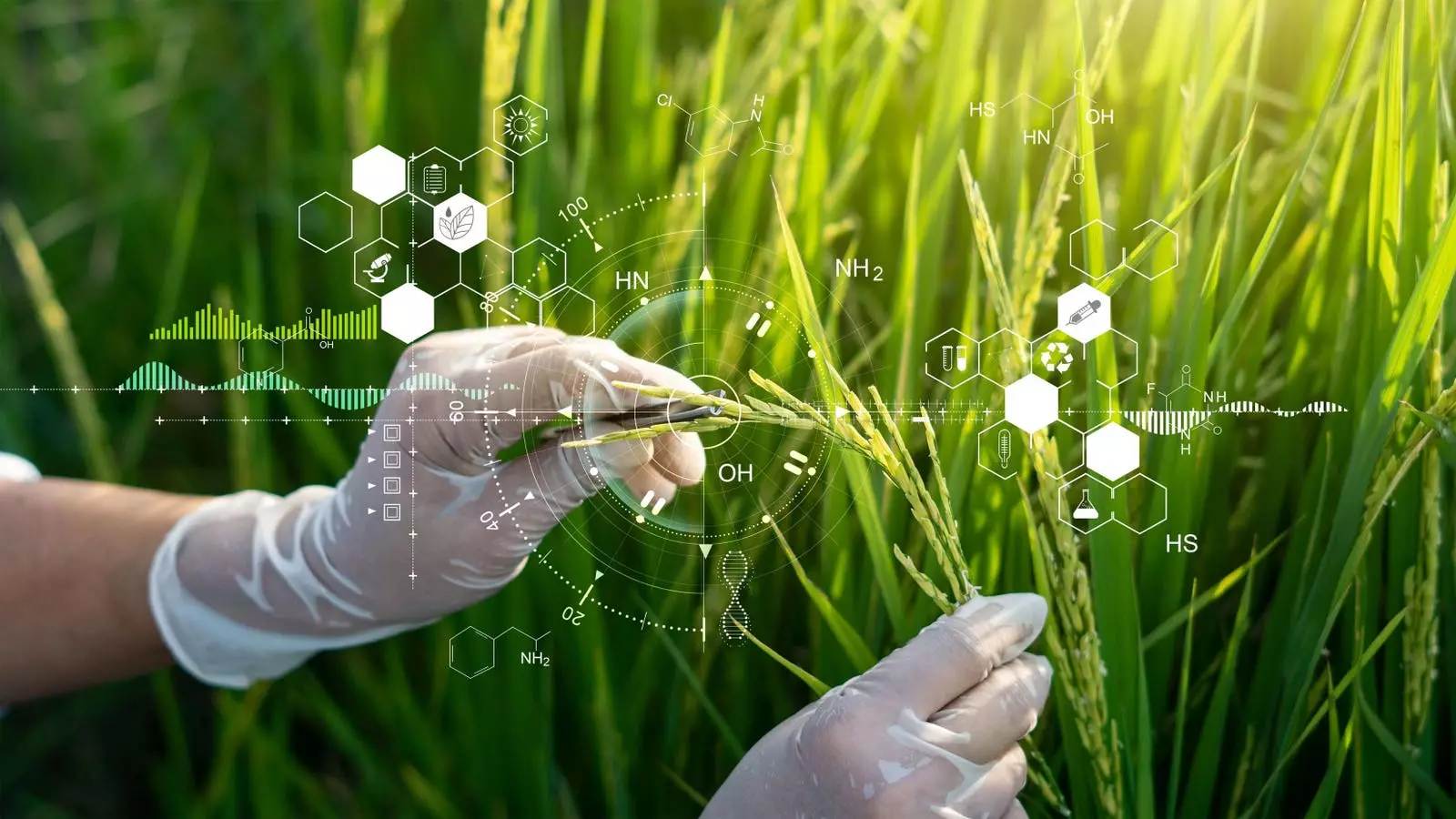 The Future of Food: Navigating Challenges and Embracing Innovations in 2025