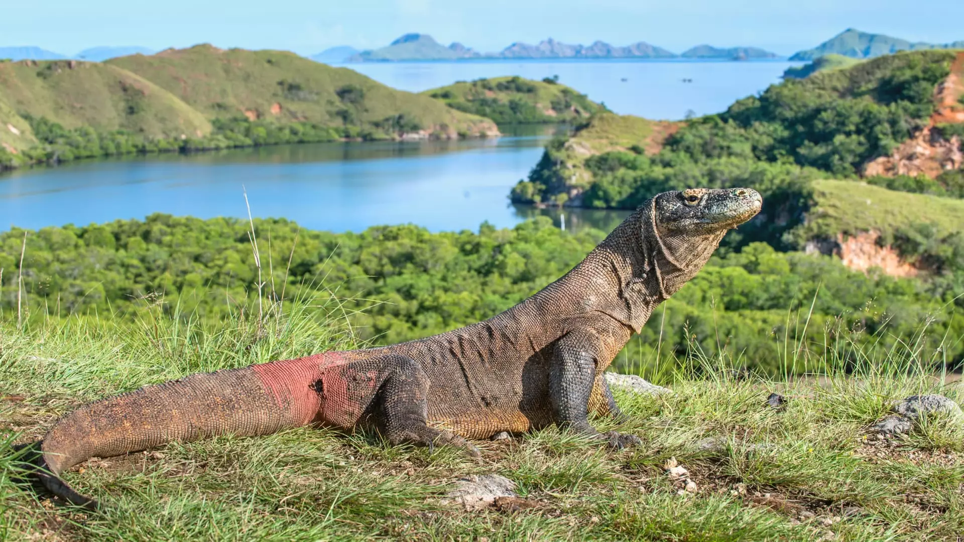 New Horizons: Jetstar Asia’s Direct Flights to Labuan Bajo