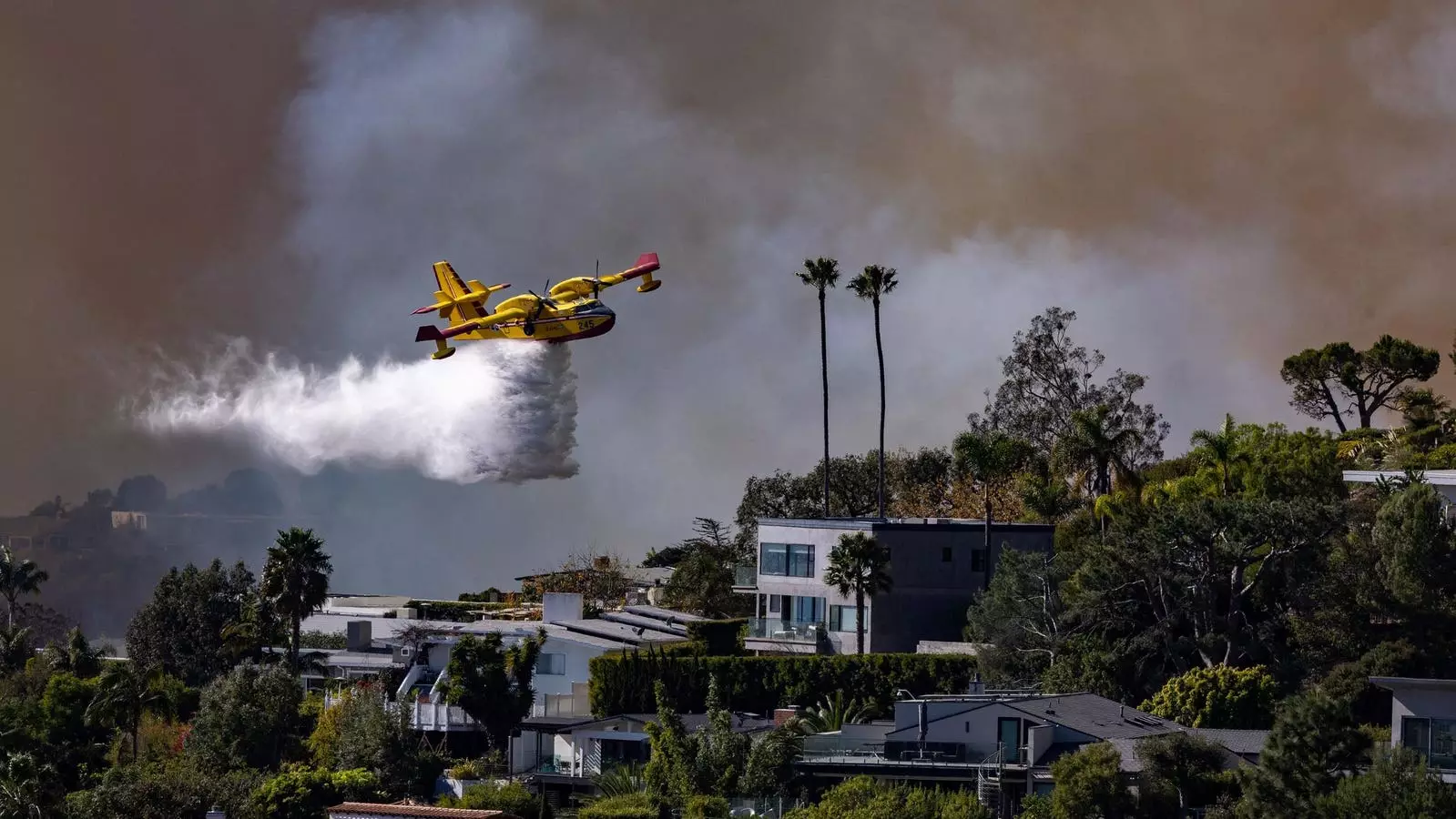 The Resnick Influence: A Deeper Look into California’s Water Crisis and Wildfire Management