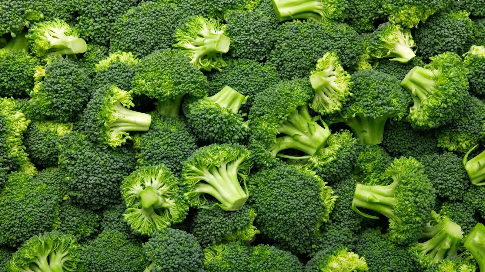 The Hidden Dangers of Frozen Produce: A Closer Look at the Marketside Broccoli Recall