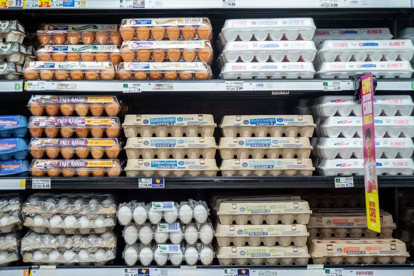 The Egg Dilemma: Navigating Rising Prices and Cultural Shifts in 2025