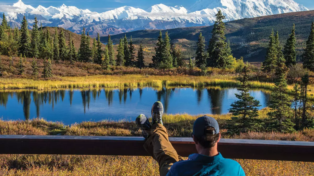 Uncharted Alaska: Discovering Denali’s Hidden Treasures Amid Adversity