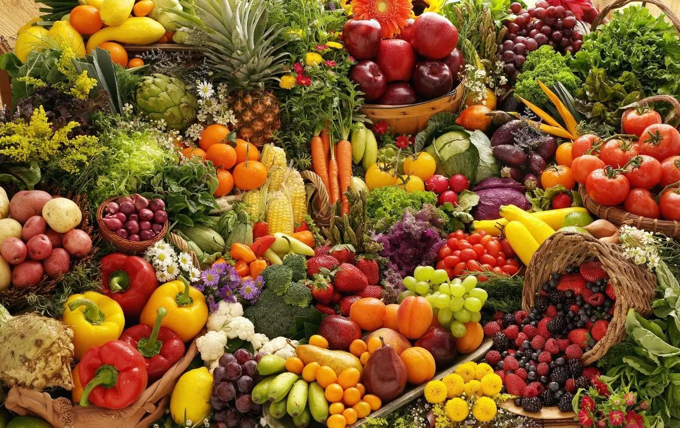 Transforming Waste into Wonder: A Call to Action in the Food Industry