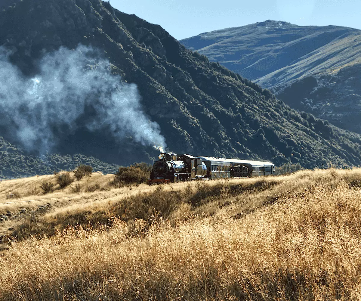 Unlocking New Zealand’s Hidden Treasures: A Journey of Cultural Wealth
