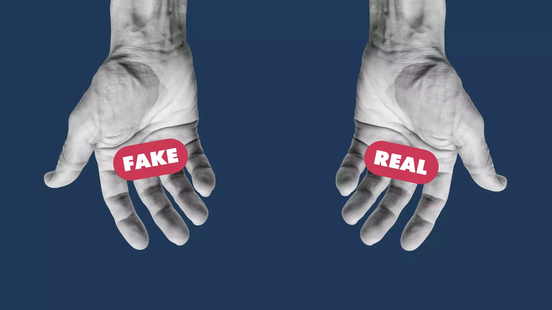 The Rising Tide of Authenticity: Navigating Fake Reviews on Tripadvisor