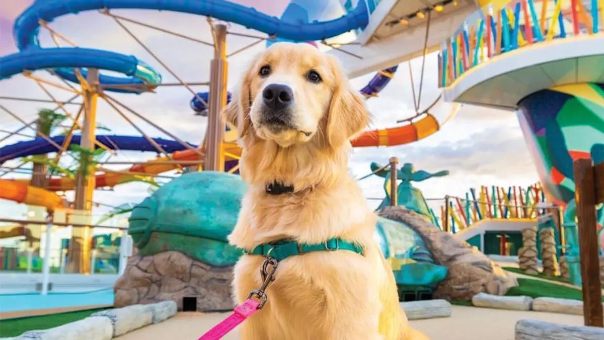 Pawsitively Impactful: Royal Caribbean’s Innovative Approach to Cruise Experience