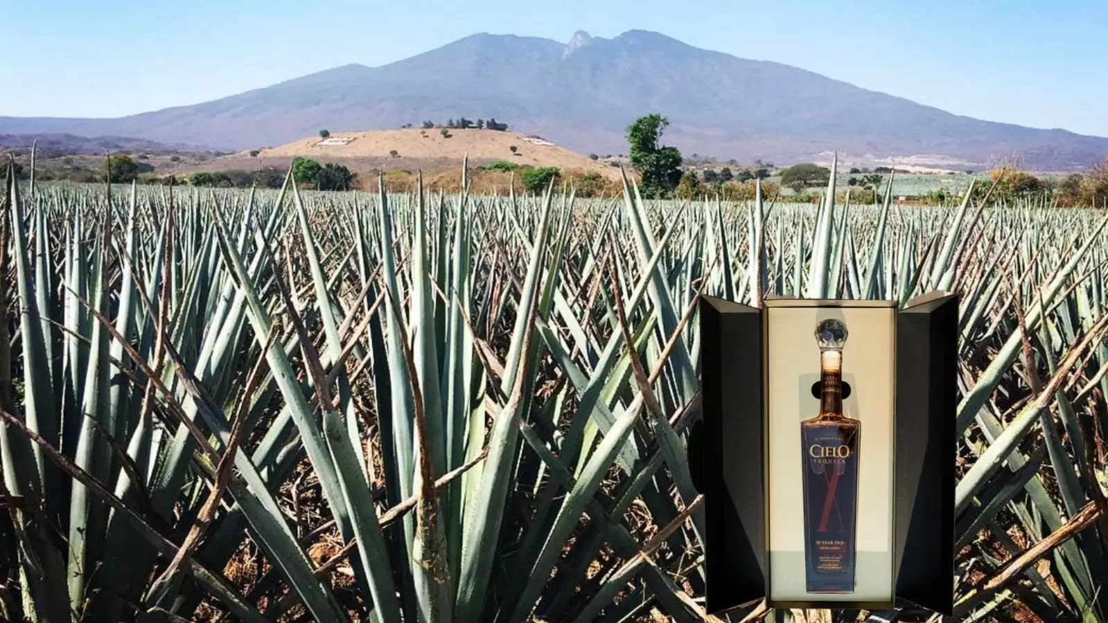 Exquisite Elegance: The Allure of Cielo X Tequila