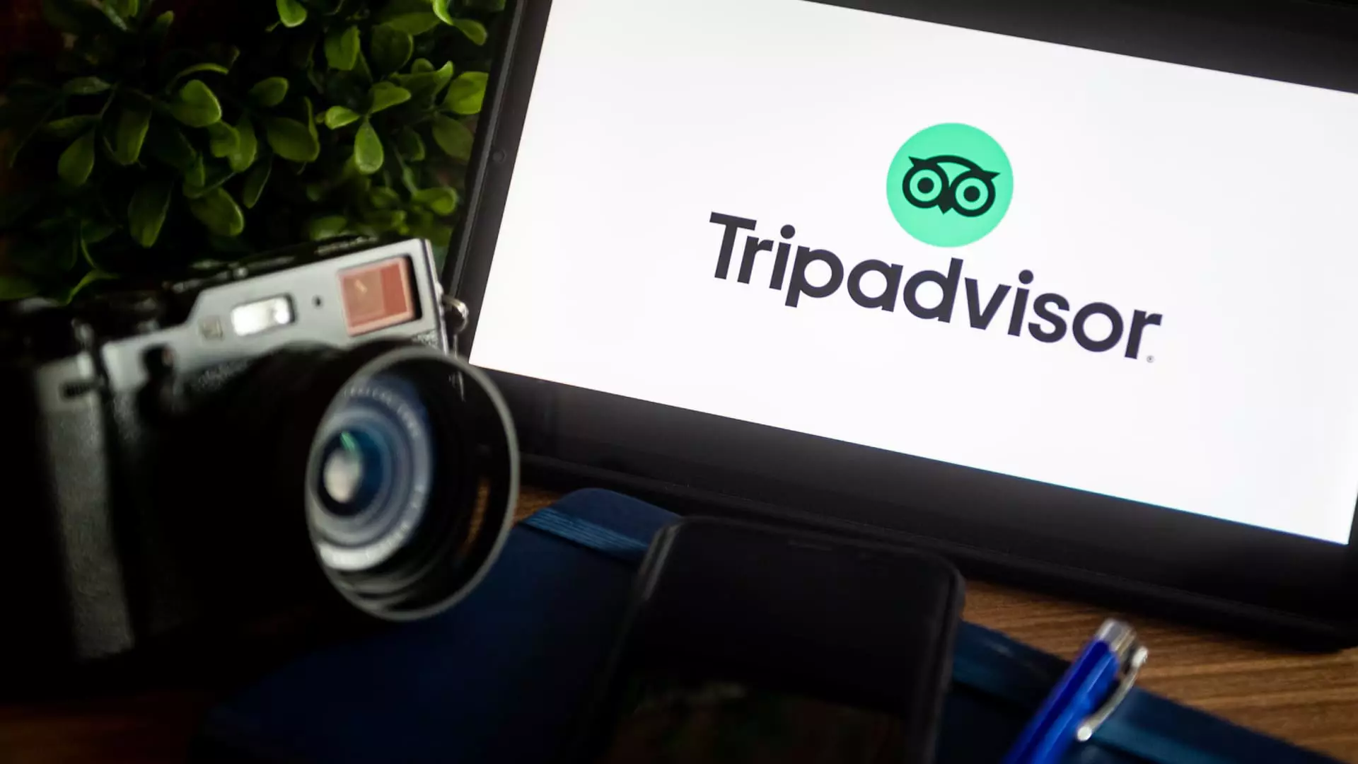 Starboard’s Strategic Move Revitalizes Tripadvisor: A Catalyst for Transformation